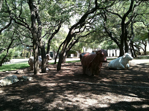 Image result for The Arboretum Austin Texas